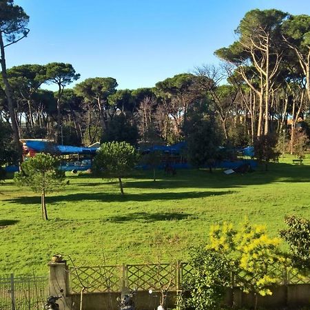 Apartament Casa Della Pineta Viareggio Zewnętrze zdjęcie