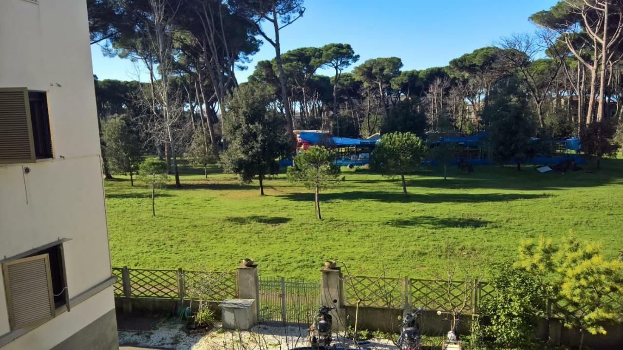 Apartament Casa Della Pineta Viareggio Zewnętrze zdjęcie